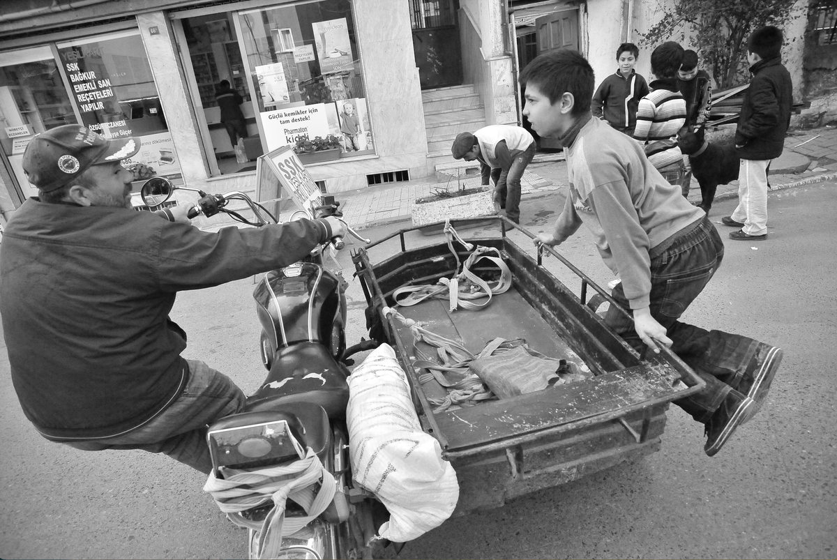Arkadaş şefkati / lensler konuşabilseydi